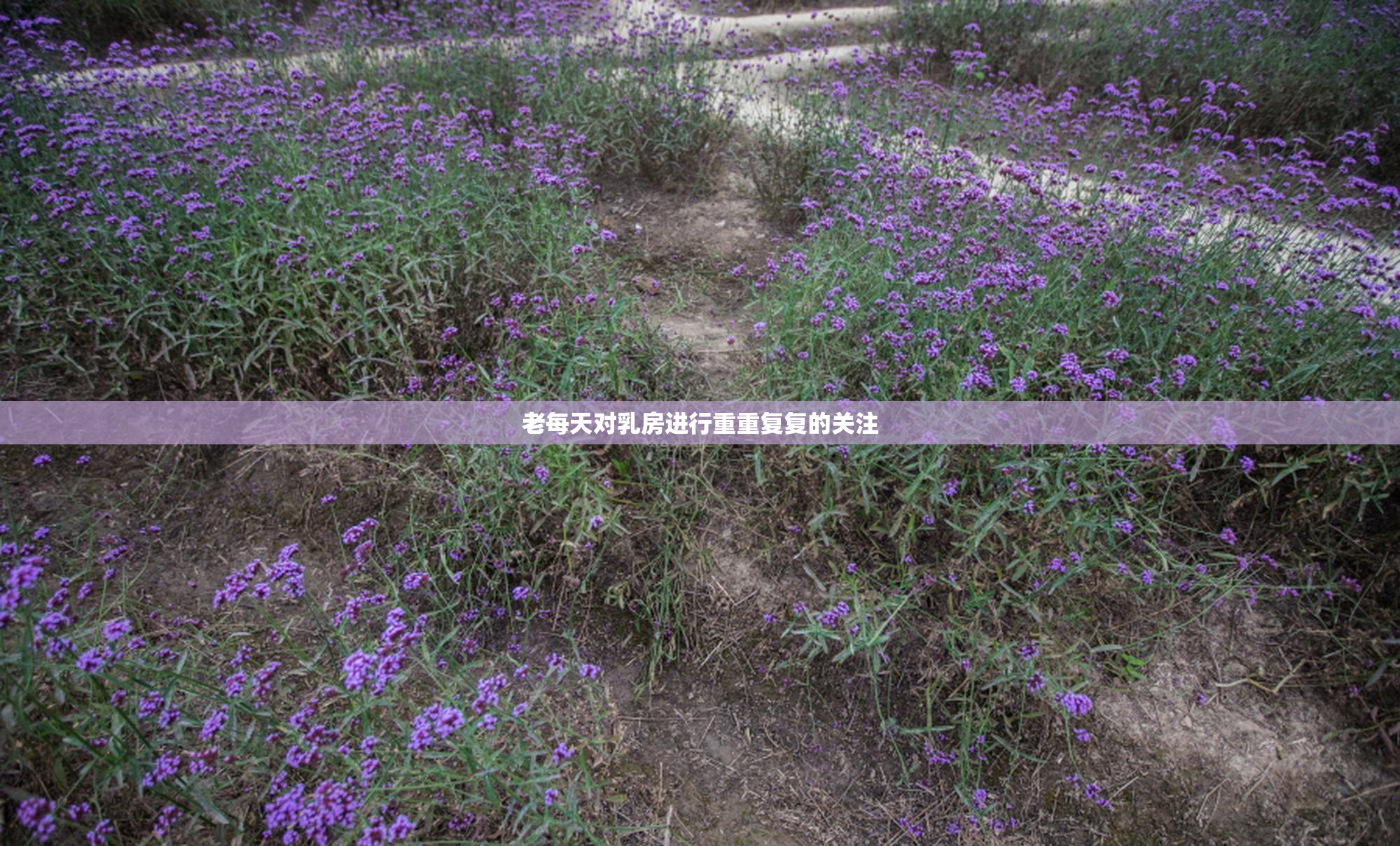 老每天对乳房进行重重复复的关注