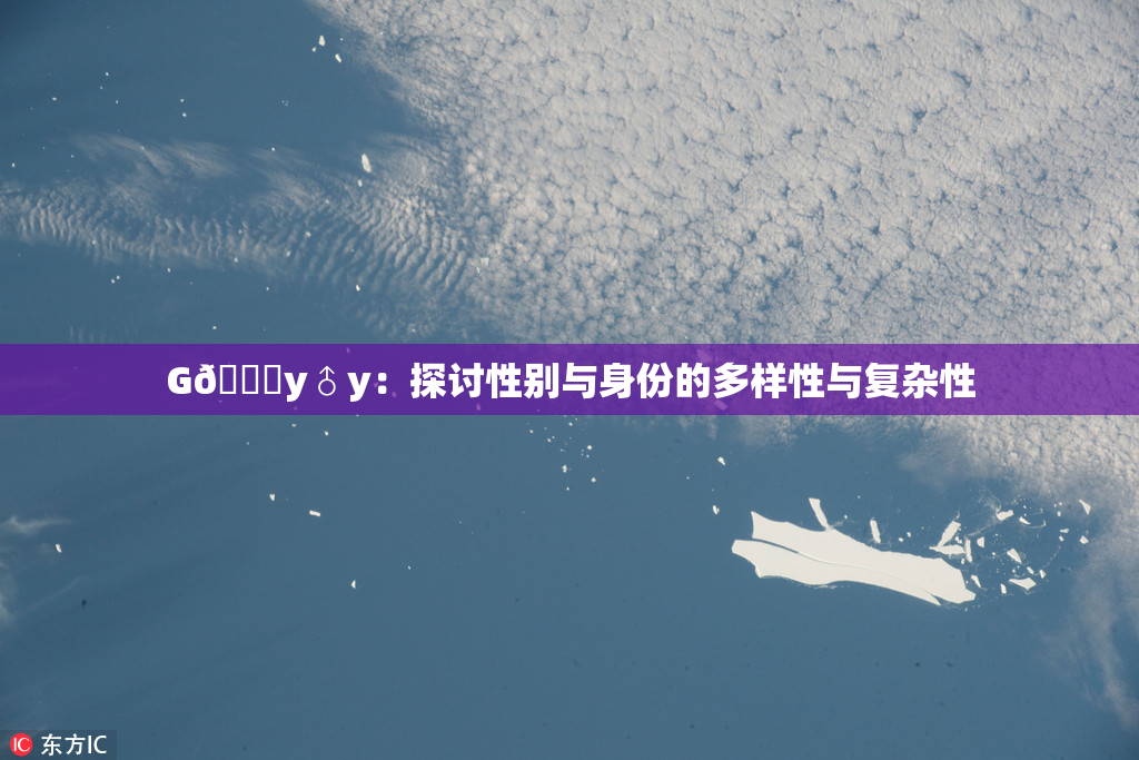 G🈚y♂y：探讨性别与身份的多样性与复杂性