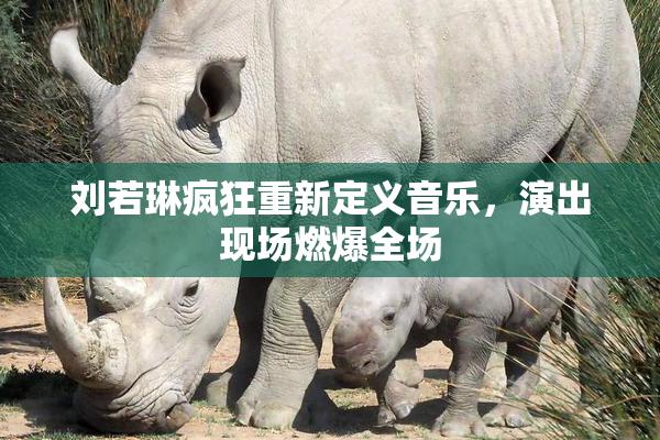 刘若琳疯狂重新定义音乐，演出现场燃爆全场