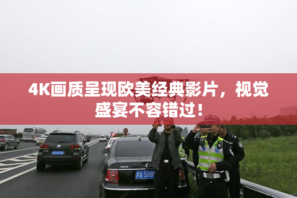 4K画质呈现欧美经典影片，视觉盛宴不容错过！