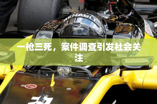 一枪三死，案件调查引发社会关注