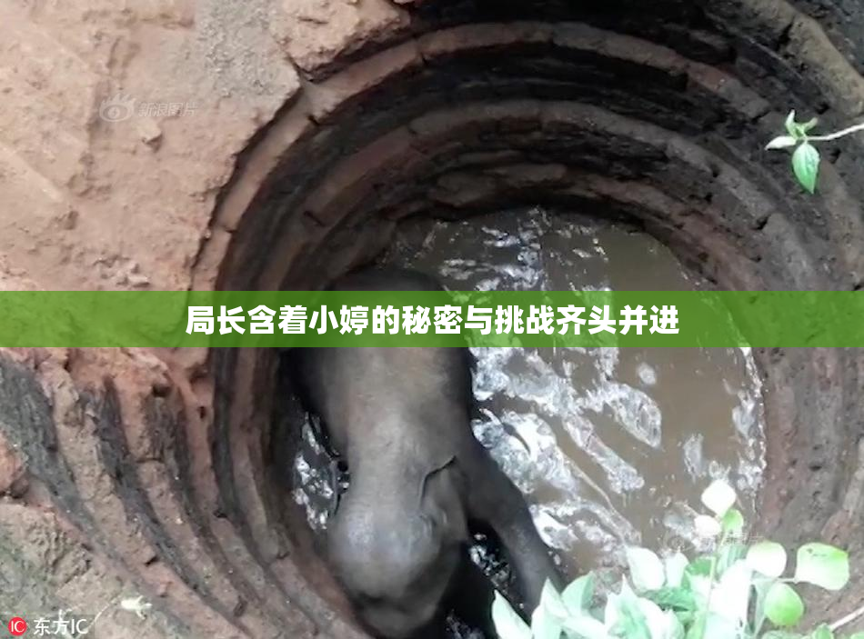 局长含着小婷的秘密与挑战齐头并进