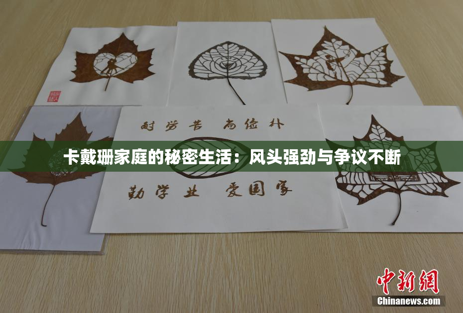 卡戴珊家庭的秘密生活：风头强劲与争议不断