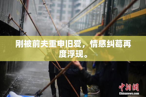 刚被前夫重申旧爱，情感纠葛再度浮现。