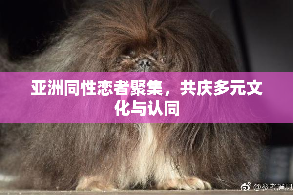 亚洲同性恋者聚集，共庆多元文化与认同