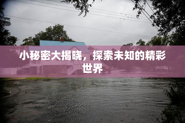 小秘密大揭晓，探索未知的精彩世界