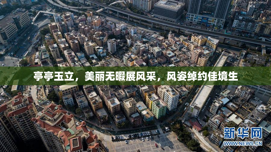 亭亭玉立，美丽无暇展风采，风姿绰约佳境生
