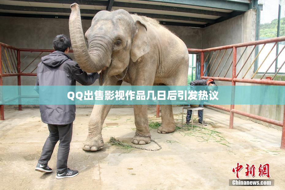 QQ出售影视作品几日后引发热议