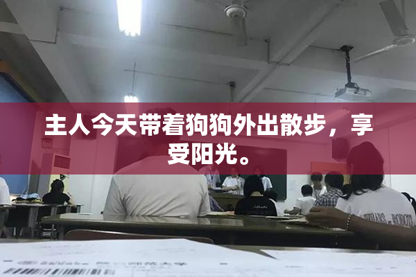主人今天带着狗狗外出散步，享受阳光。