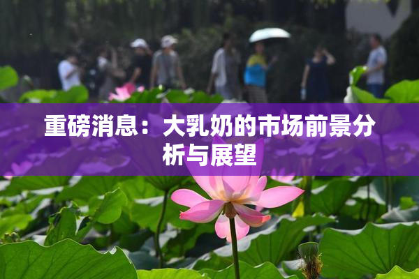 重磅消息：大乳奶的市场前景分析与展望