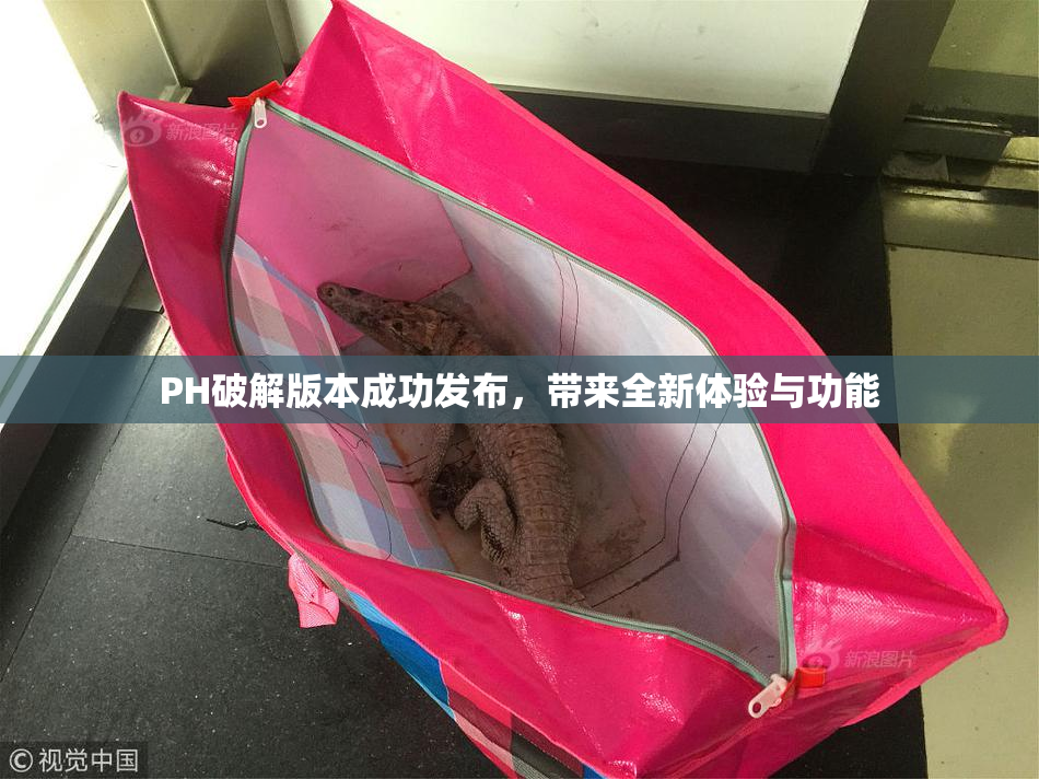 PH破解版本成功发布，带来全新体验与功能