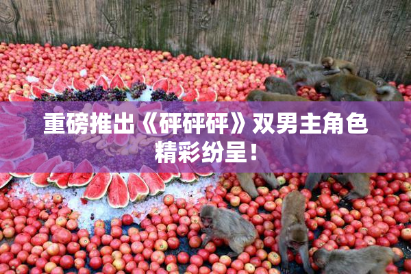 重磅推出《砰砰砰》双男主角色精彩纷呈！