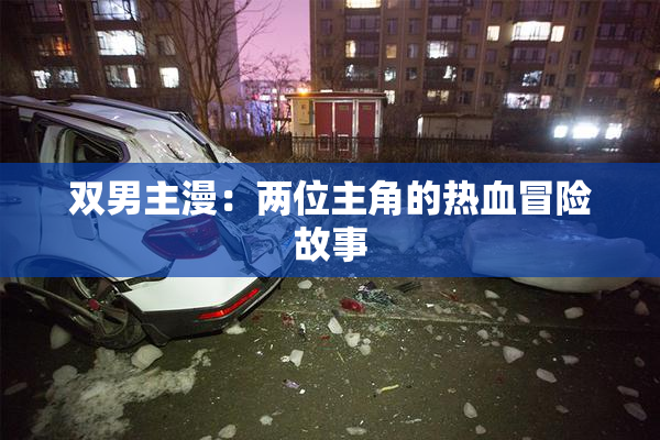 双男主漫：两位主角的热血冒险故事