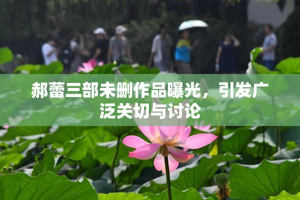 郝蕾三部未删作品曝光，引发广泛关切与讨论