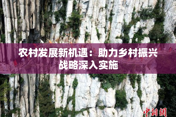 农村发展新机遇：助力乡村振兴战略深入实施