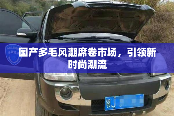 国产多毛风潮席卷市场，引领新时尚潮流