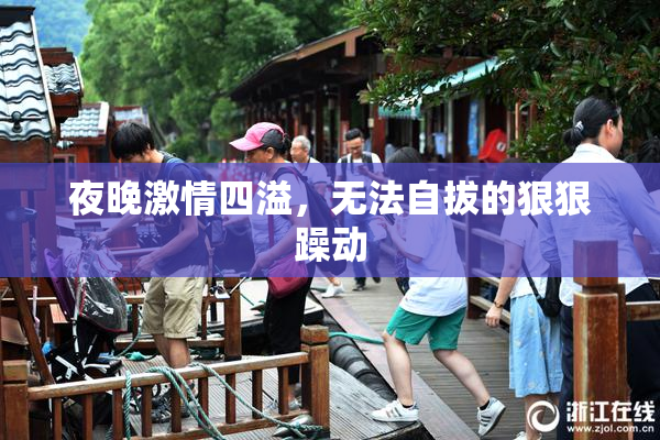 夜晚激情四溢，无法自拔的狠狠躁动