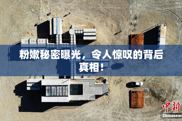 粉嫩秘密曝光，令人惊叹的背后真相！