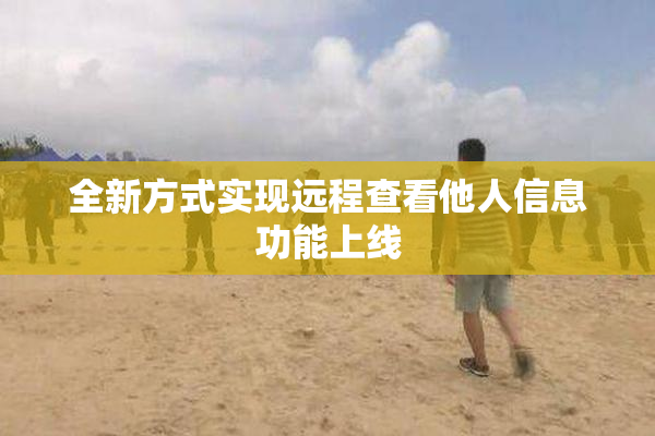 全新方式实现远程查看他人信息功能上线