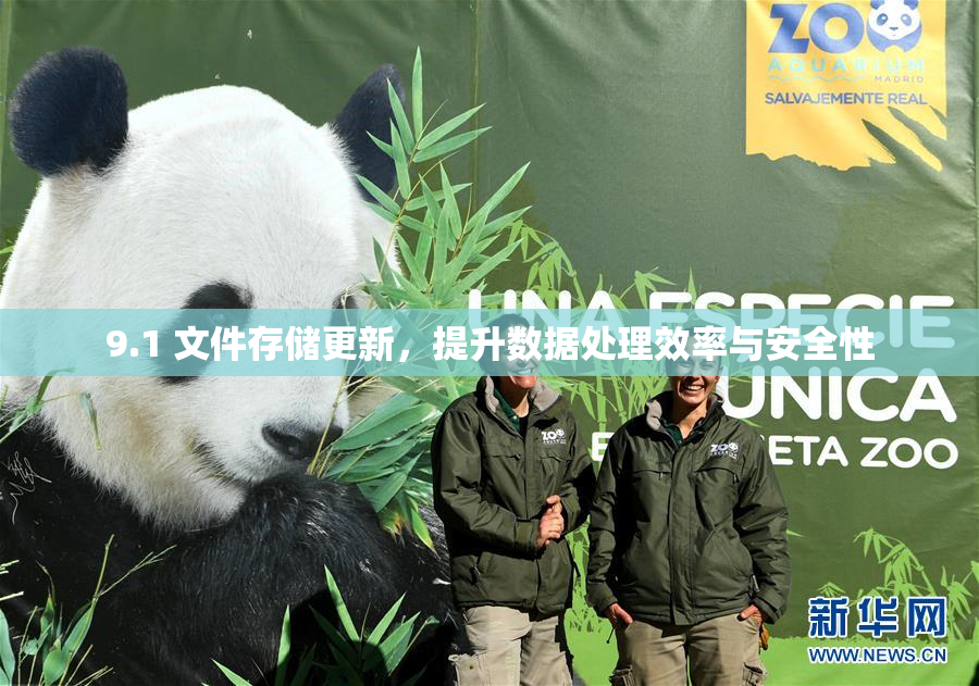9.1 文件存储更新，提升数据处理效率与安全性