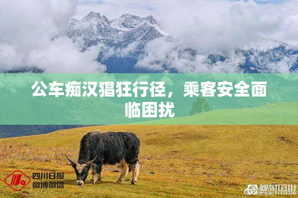 公车痴汉猖狂行径，乘客安全面临困扰