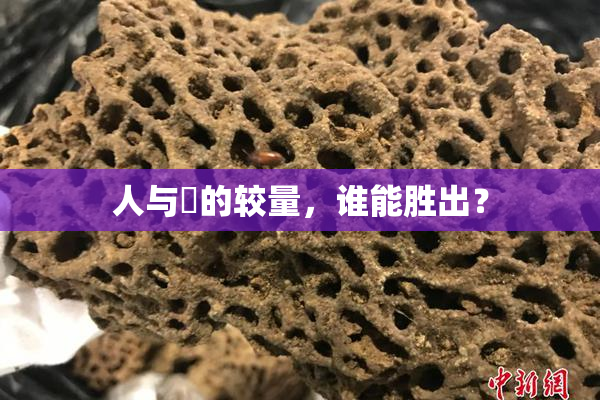 人与嘼的较量，谁能胜出？