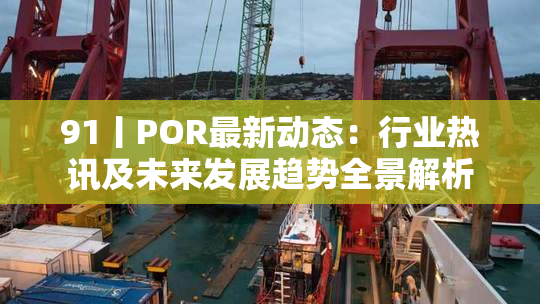 91丨POR最新动态：行业热讯及未来发展趋势全景解析