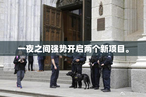 一夜之间强势开启两个新项目。