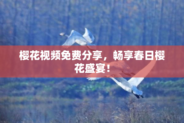 樱花视频免费分享，畅享春日樱花盛宴！