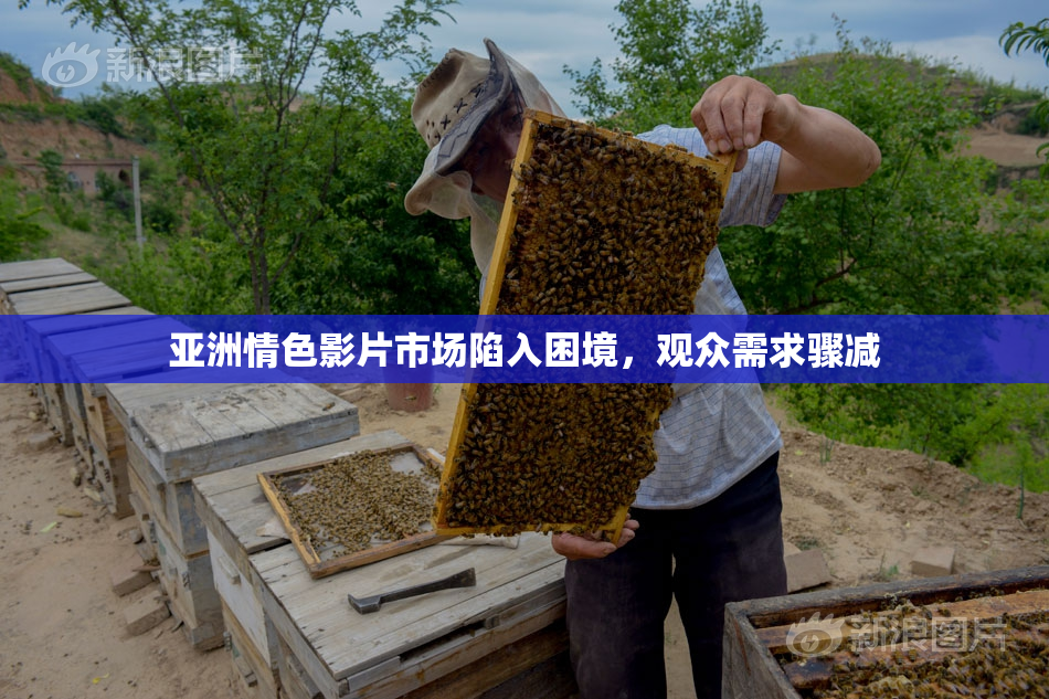 亚洲情色影片市场陷入困境，观众需求骤减