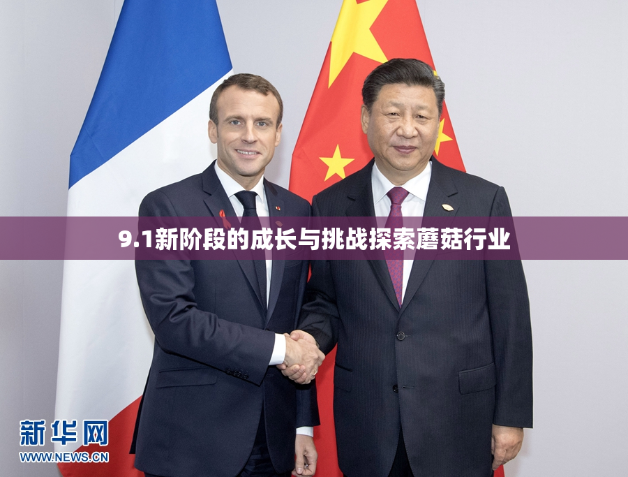 9.1新阶段的成长与挑战探索蘑菇行业