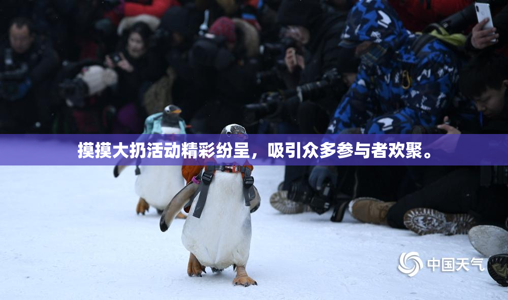 摸摸大扔活动精彩纷呈，吸引众多参与者欢聚。