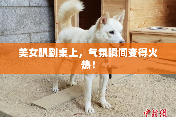 美女趴到桌上，气氛瞬间变得火热！
