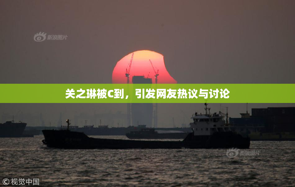 关之琳被C到，引发网友热议与讨论