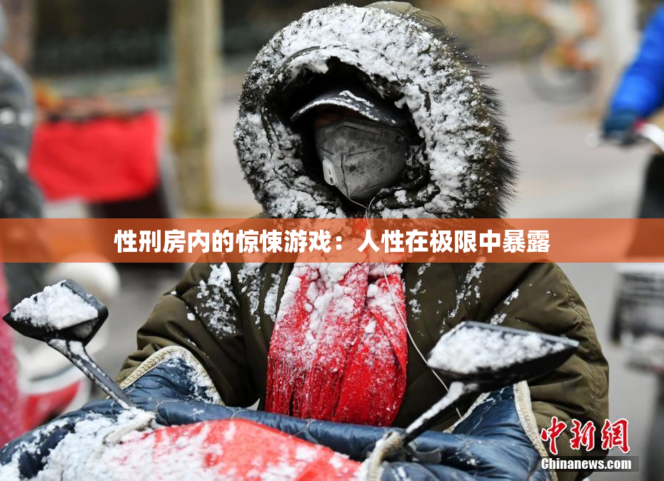 性刑房内的惊悚游戏：人性在极限中暴露