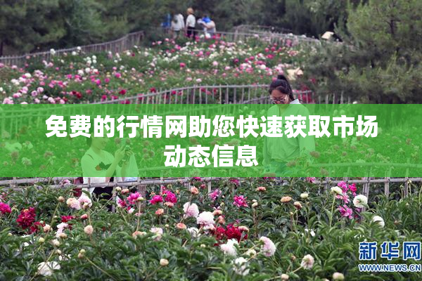 免费的行情网助您快速获取市场动态信息