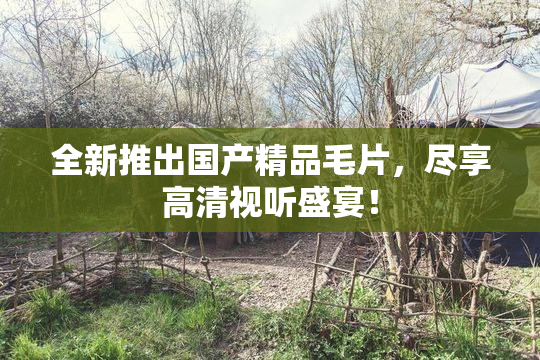 全新推出国产精品毛片，尽享高清视听盛宴！
