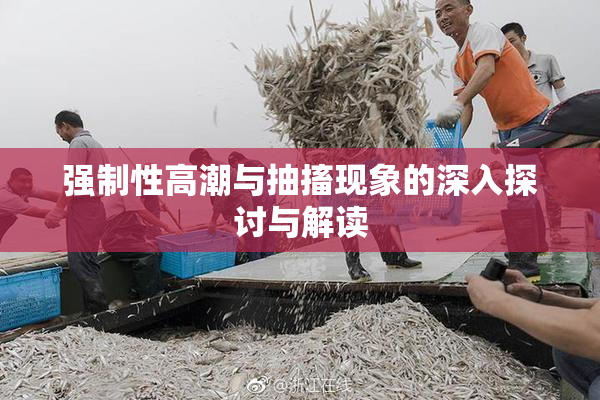 强制性高潮与抽搐现象的深入探讨与解读