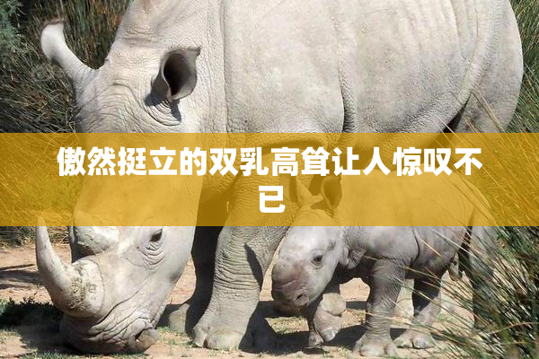 傲然挺立的双乳高耸让人惊叹不已