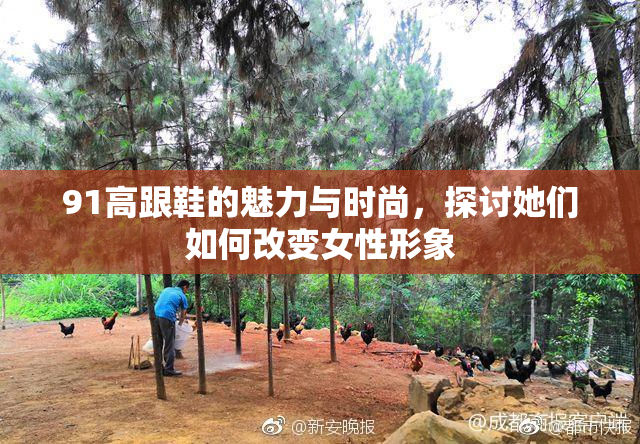 91高跟鞋的魅力与时尚，探讨她们如何改变女性形象