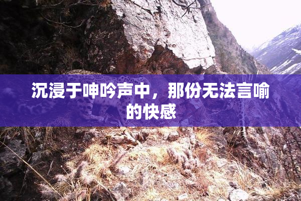沉浸于呻吟声中，那份无法言喻的快感