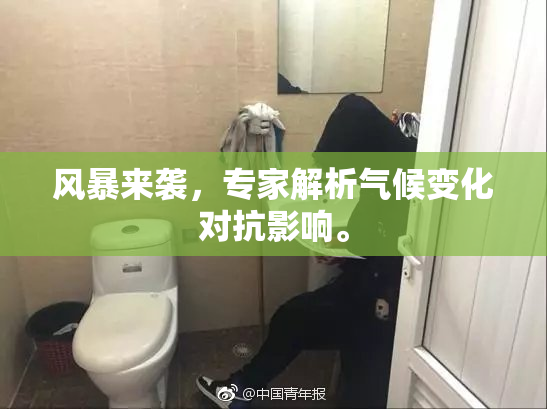 风暴来袭，专家解析气候变化对抗影响。