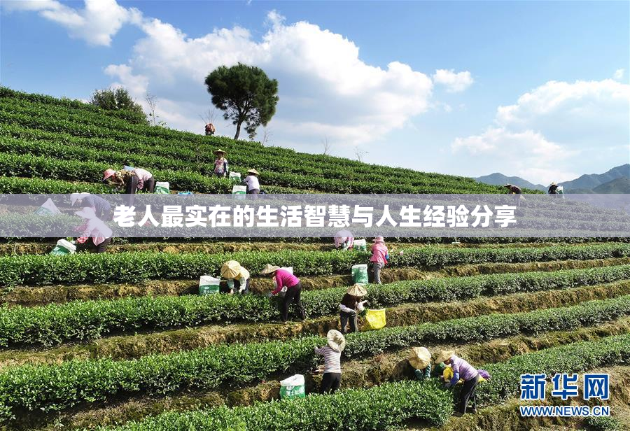 老人最实在的生活智慧与人生经验分享