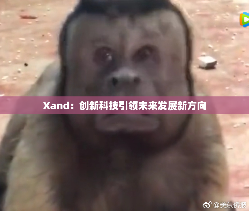 Xand：创新科技引领未来发展新方向