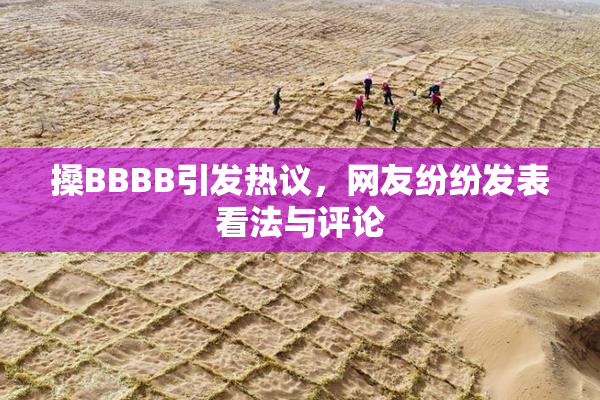 搡BBBB引发热议，网友纷纷发表看法与评论
