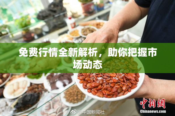 免费行情全新解析，助你把握市场动态
