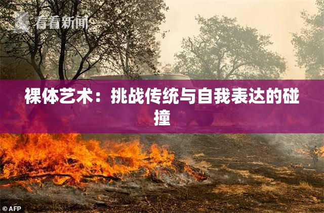裸体艺术：挑战传统与自我表达的碰撞