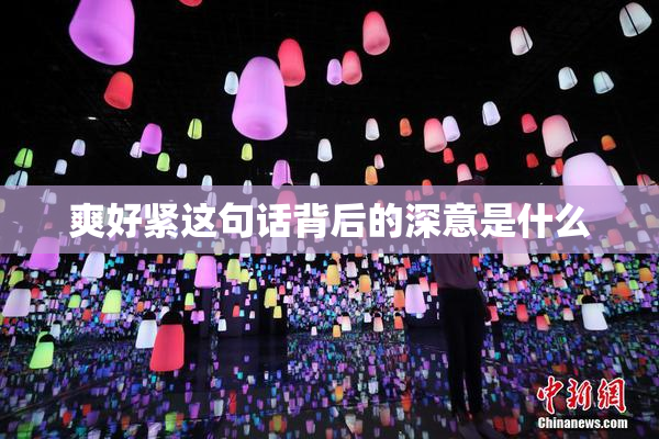 爽好紧这句话背后的深意是什么