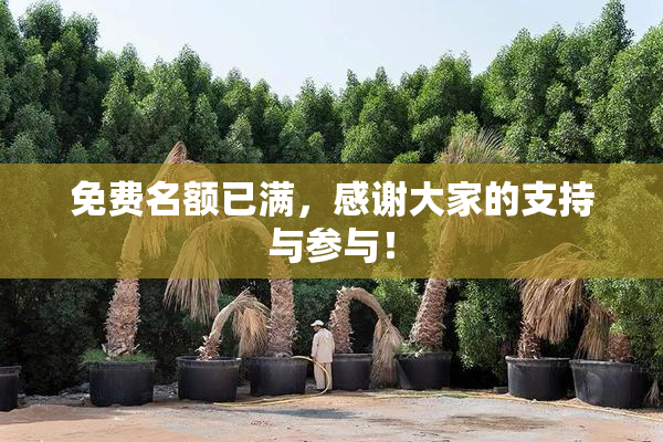 免费名额已满，感谢大家的支持与参与！