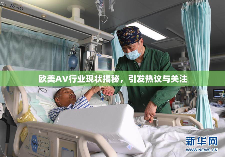 欧美AV行业现状揭秘，引发热议与关注